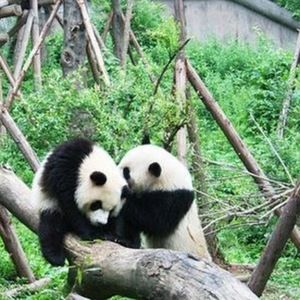 Meet your Posher, Kaitlyn